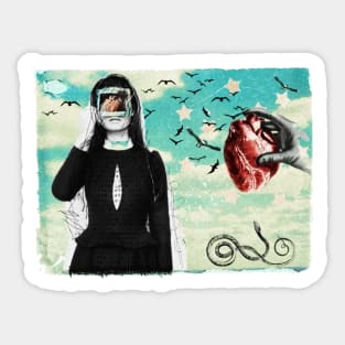 A Deceit of Lapwings Sticker